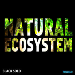Black Solo - Natural Ecosystem